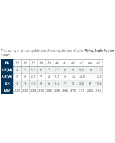 FLYING EAGLE - RAPTOR BLACK FLYING EAGLE - RAPTOR BLACK
